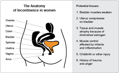 Incontinence in women